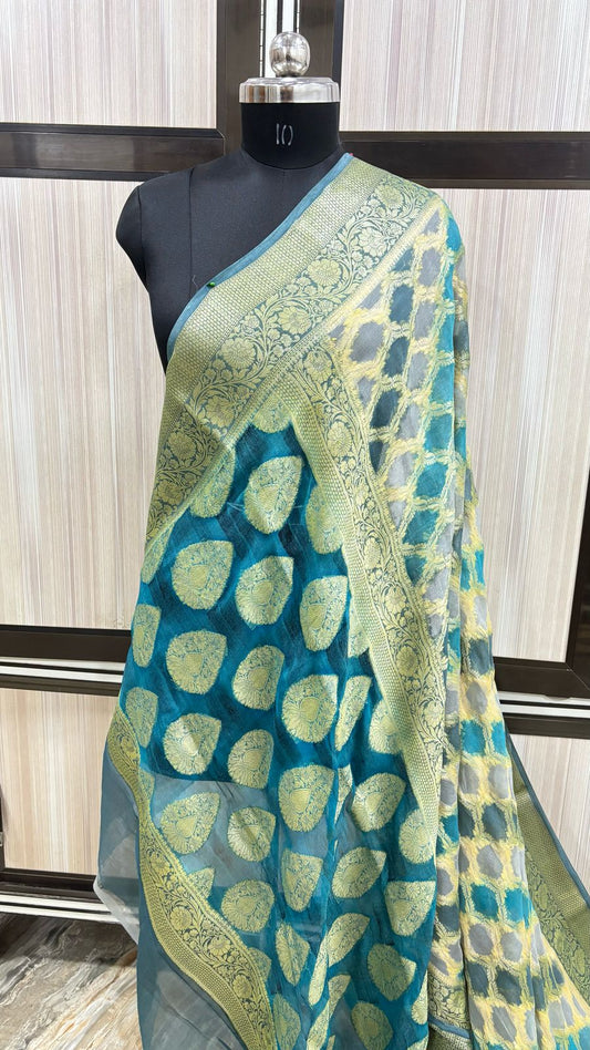 Banarasi Viscose Silk Hand Loom Saree